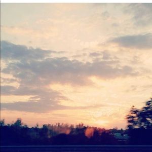 Meet your Posher, Sydney